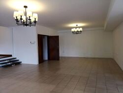 The Cairnhill (D9), Condominium #406653271